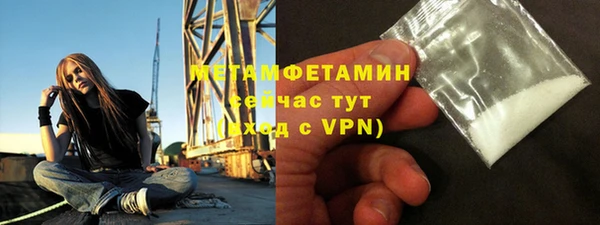 стаф Богданович