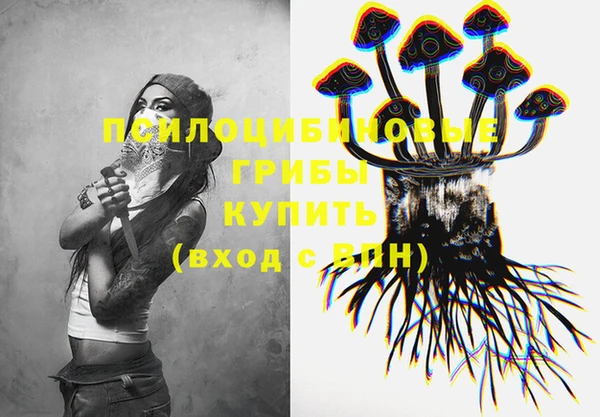 хмурый Богородицк