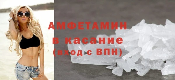 стаф Богданович