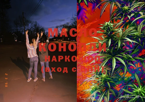 стаф Богданович