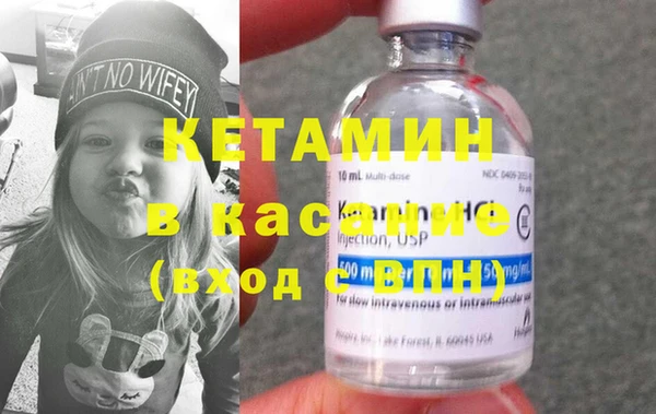 стаф Богданович