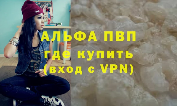стаф Богданович