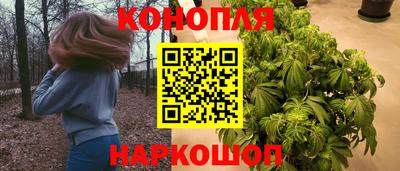 дживик Донской