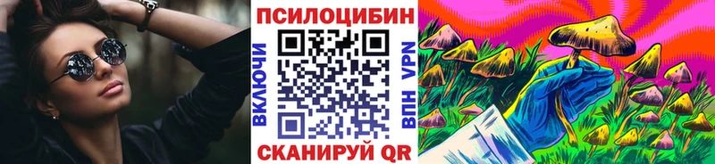 Псилоцибиновые грибы Psilocybe  Надым 